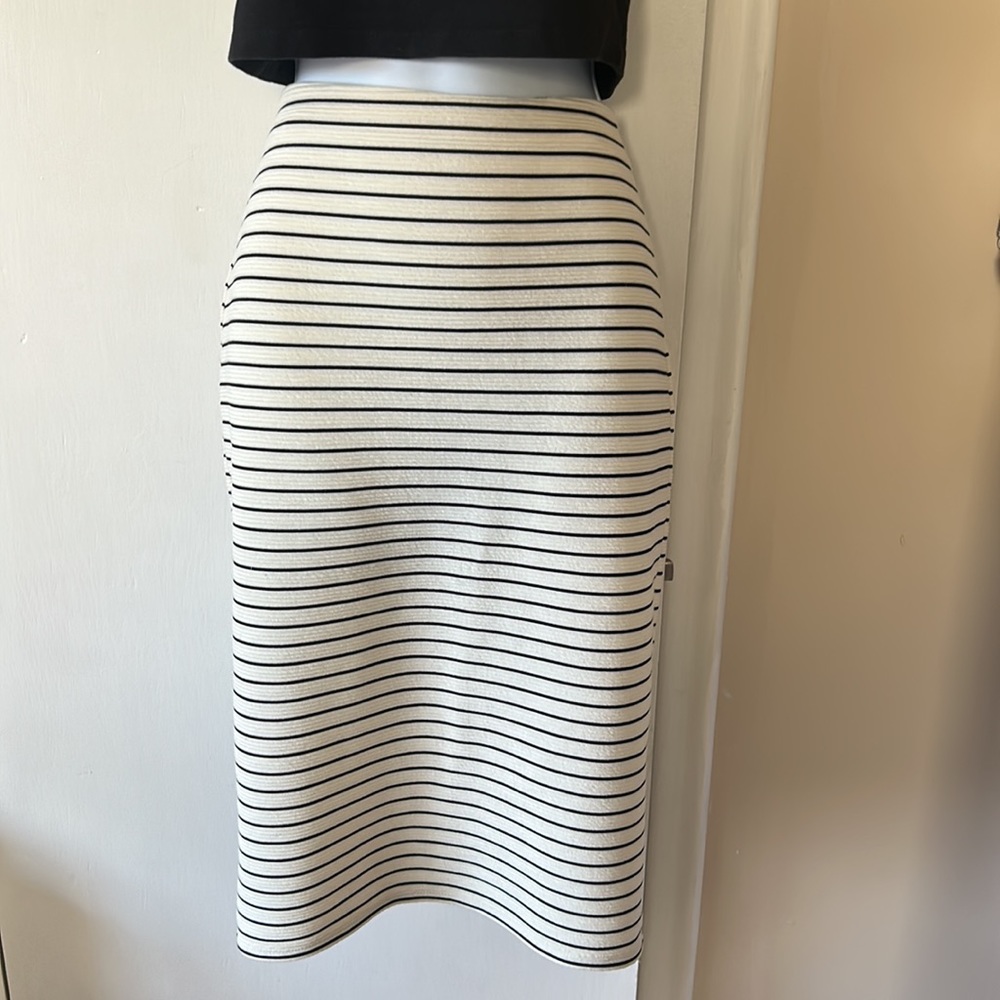 Striped Zip Pencil Skirt